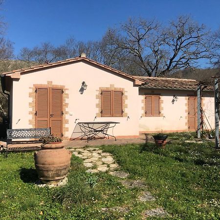 Villa Casa Indipendente In Paese Con Giardino Saturnia Exterior foto