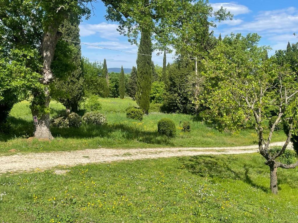 Villa Casa Indipendente In Paese Con Giardino Saturnia Exterior foto