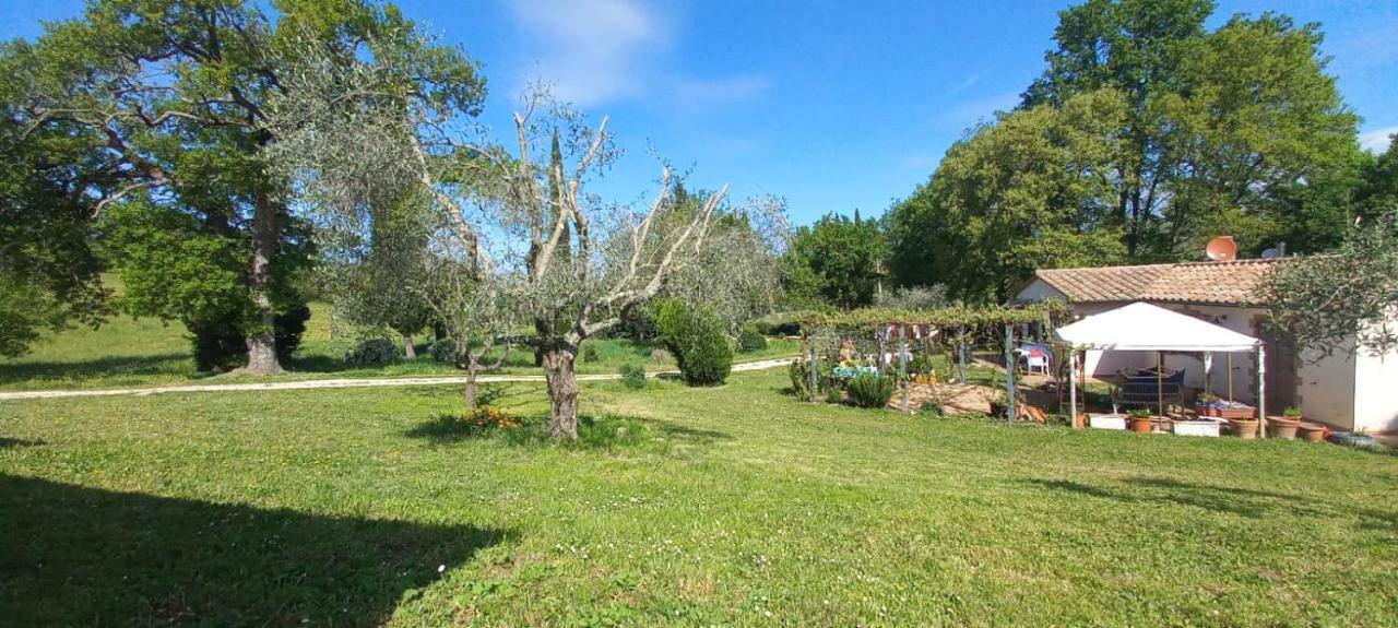 Villa Casa Indipendente In Paese Con Giardino Saturnia Exterior foto